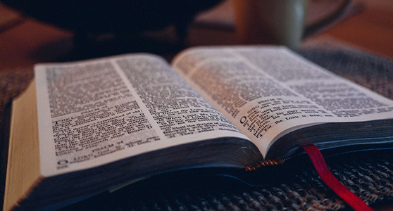 ¿Por qué debo creer lo que dice la Biblia? – Completo